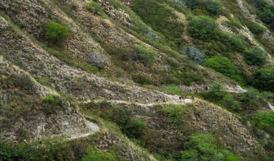Diamond Head Manoa Falls - A flexible finish with more than 30 possible stops