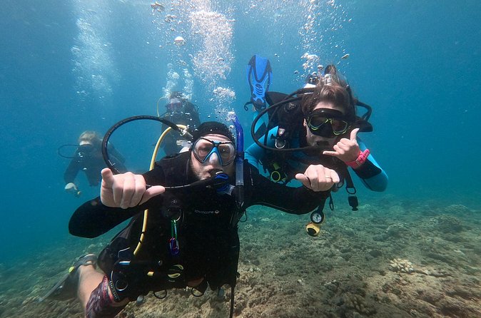 Discover Scuba Diving in Hawaii - Non certified divers! - Two Shallow Sessions in Hawaiian Waters