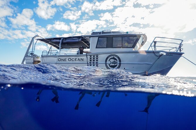 Dive with Sharks in Hawaii: Shark Tour from Haleiwa - Entering the water with sharks nearby
