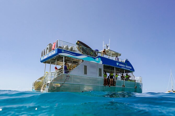 Dolphin Watch Cruise with Waterslide & Snorkeling on Oahu - Key points to know before you book