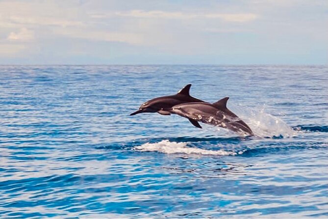 Dolphin Watching and Snorkeling on the West Coast of Oahu - Leaving Waikiki for Oahu’s western coast