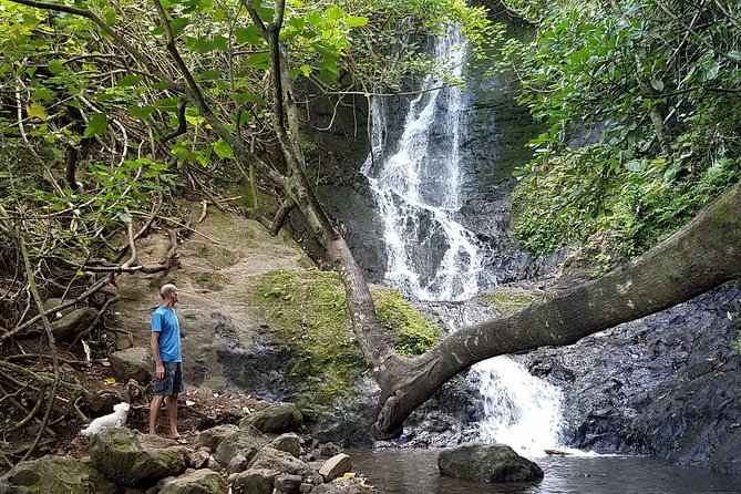 Downhill Bike and Ko'olau Waterfall Hike Tour - Starting in the Puʻu ʻOhia rainforest