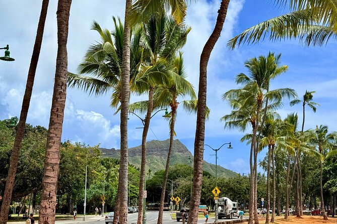 Downtown Honolulu Food Tour with 5 Local Favorites Tastings - Key points to know before booking