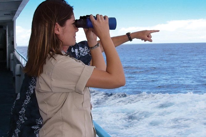 Early Bird Whale Watching Cruise from Waikiki - Starting at Aloha Tower at 9:15 am