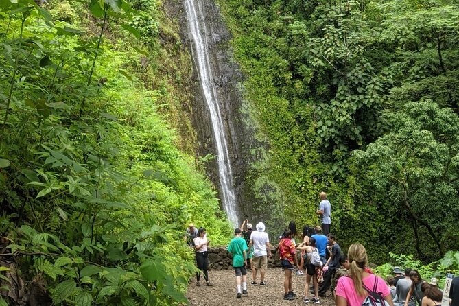 Electric Bike Ride & Manoa Falls Hike Tour - Is $199 a Good Value?