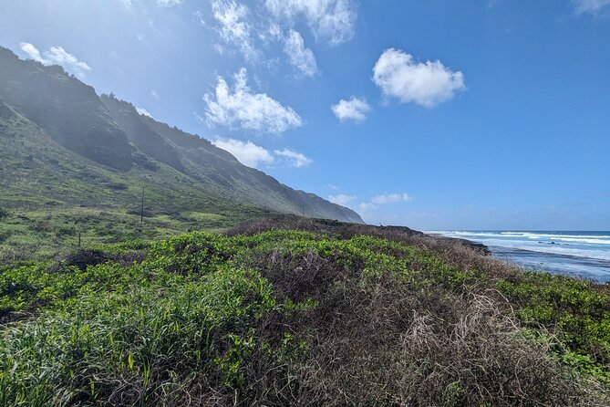 Famed North Shore Tour - Shark’s Cove and the Limits of Ocean Conditions
