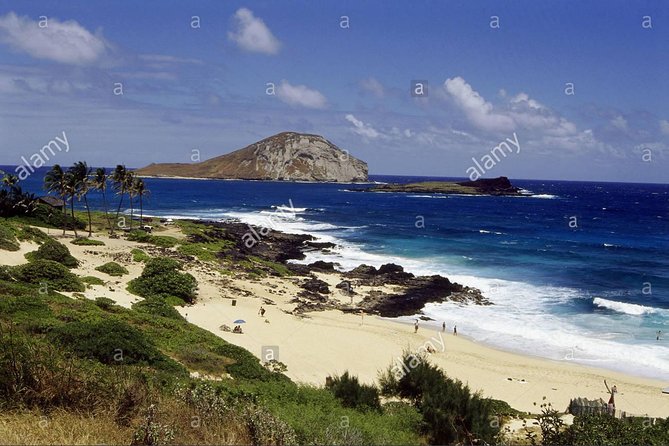 Family-Friendly Private Circle Island Tour of Oahu - Turtle Bay and the search for sea life