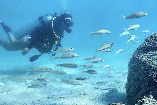 First-Time Scuba Diving in Honolulu + Free Videos - The instructors make the biggest difference