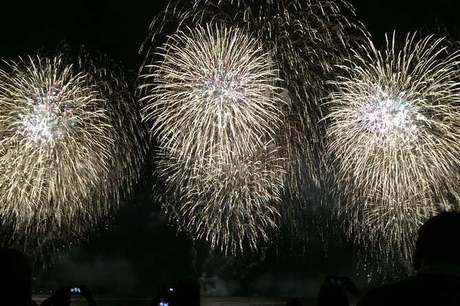 Friday Night Waikiki Fireworks Cruise - Weather, timing, and cancellation rules