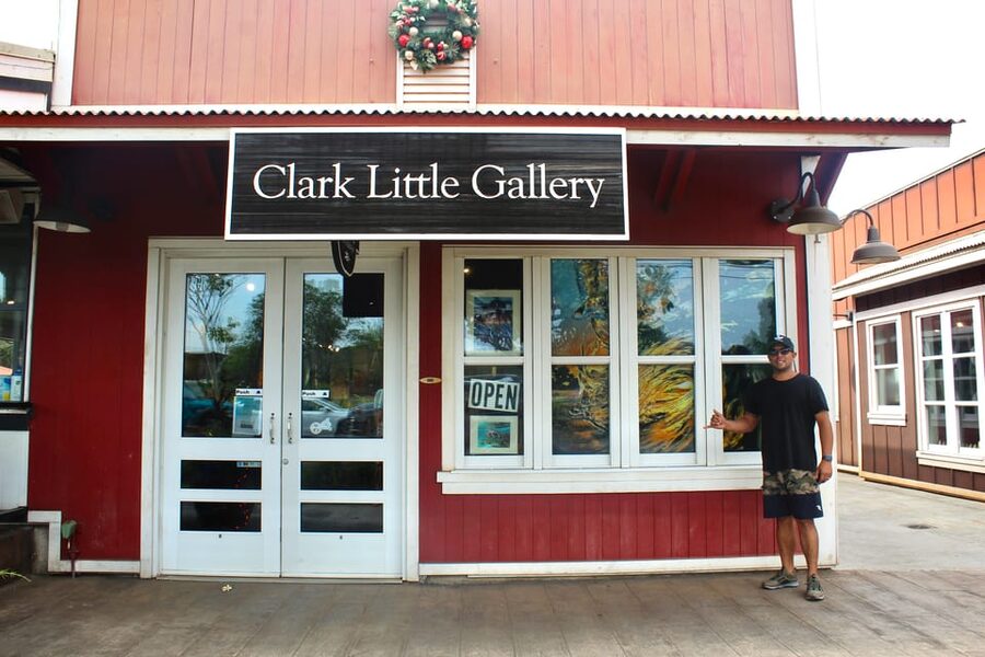 From Honolulu: Epic Island Tour - Key points at a glance