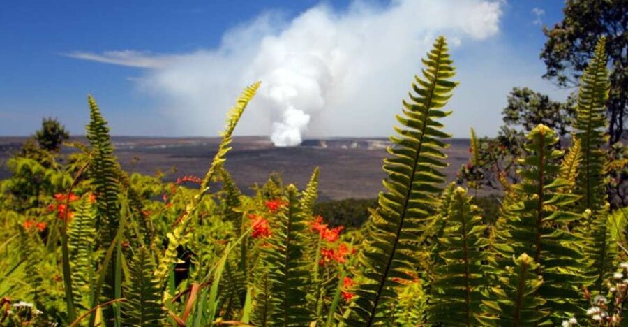 From Oahu: Big Island Volcano Adventure - What a 16-hour Big Island day really involves