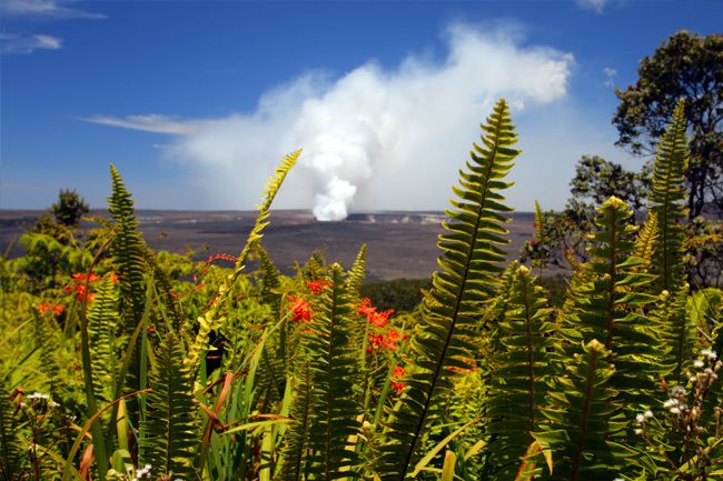 From Oahu: Big Island Volcano Adventure - ʻAkaka Falls brings you into the Hāmākua Coast