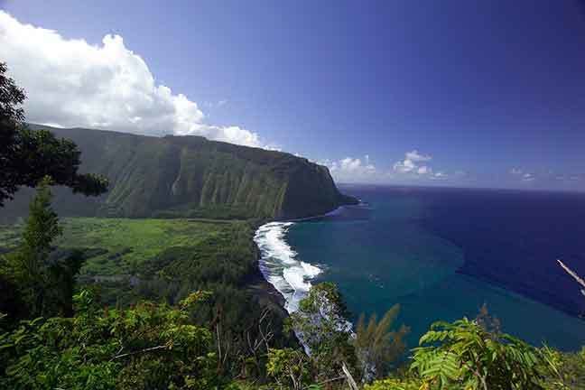 From Oahu: Big Island Volcano Adventure - Nāhuku Lava Tube adds a change of pace