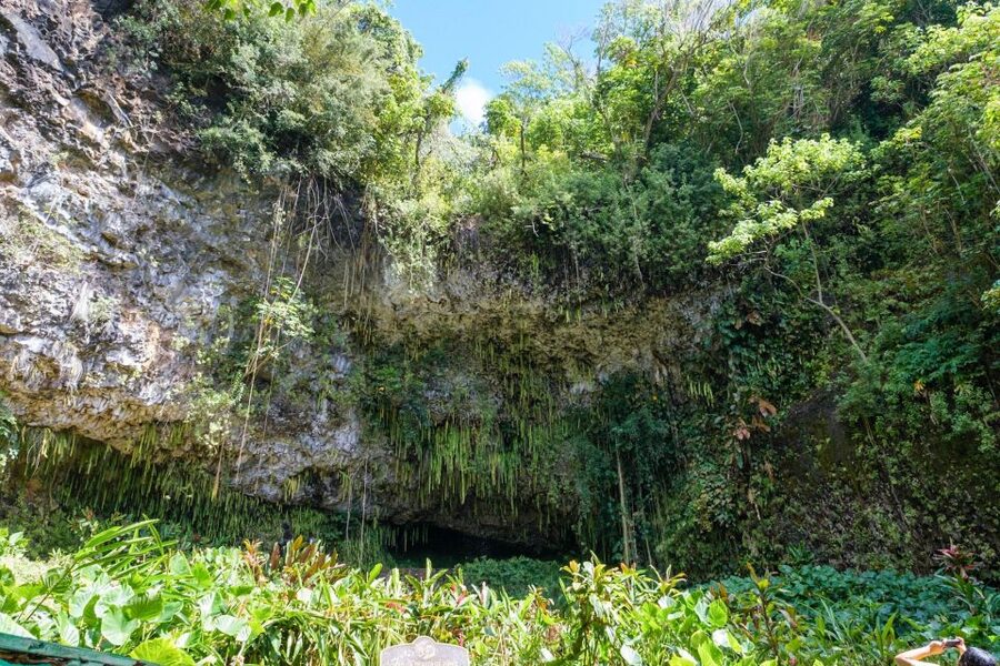 From Oahu: Kauai Waimea Canyon & Wailua River Tour - Old Kōloa Town and choosing your own lunch