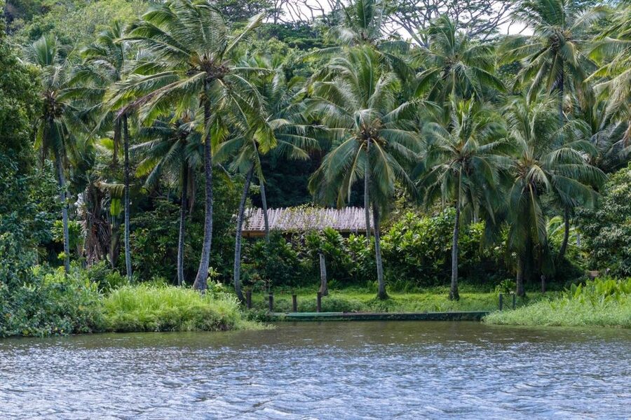 From Oahu: Kauai Waimea Canyon & Wailua River Tour - What the driver-guide adds