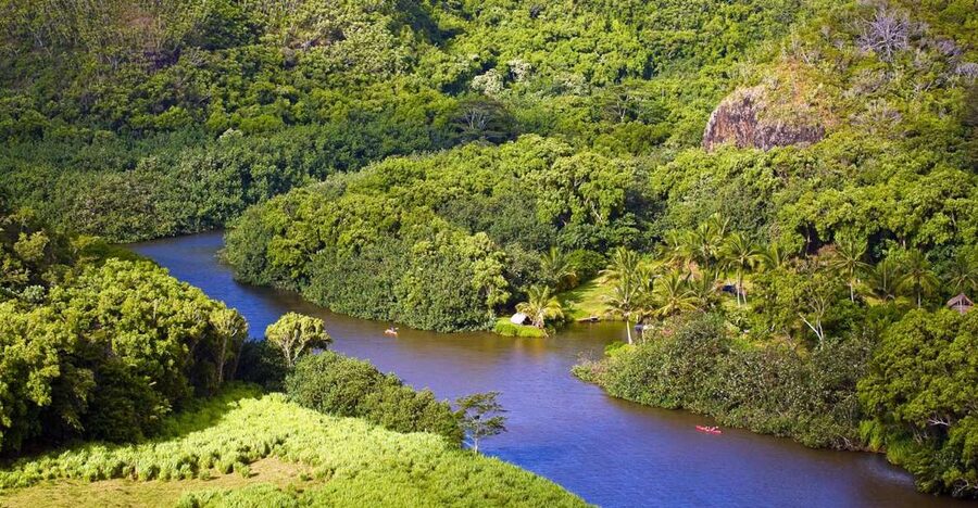 From Oahu: Kauai Waimea Canyon & Wailua River Tour - Who gets the best value from this tour