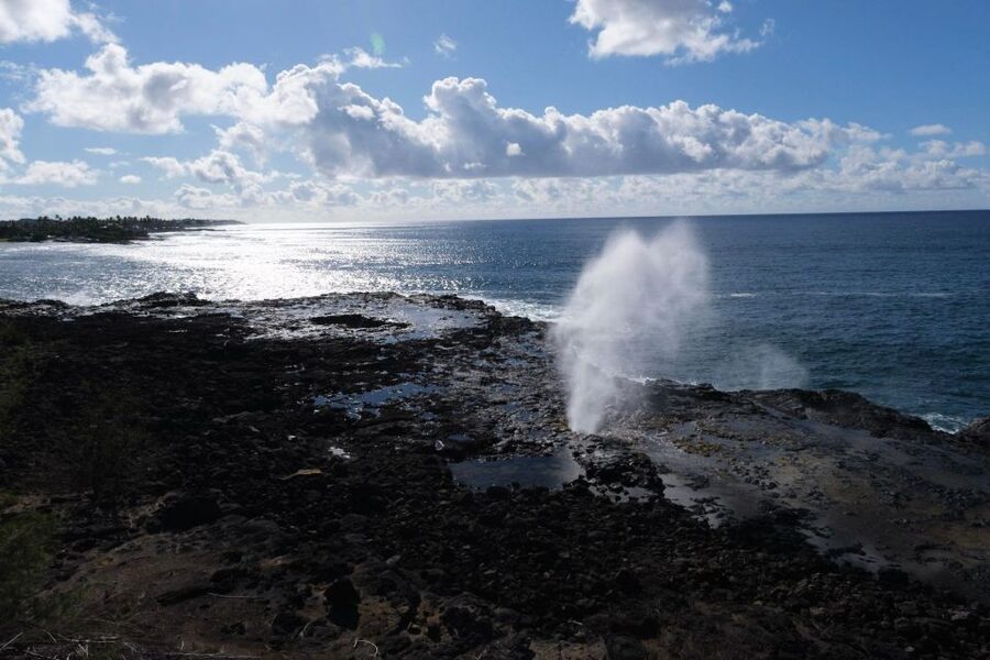 From Oahu: Kauai Waimea Canyon & Wailua River Tour - The early flight and the Kauai road start