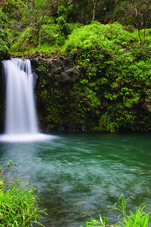 From Oahu: Maui Road to Hana Sightseeing Tour - Why this Oahu to Maui day trip works