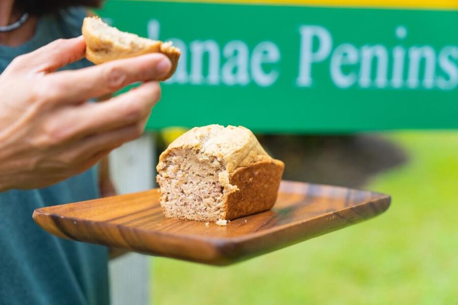 From Oahu: Maui Road to Hana Sightseeing Tour - Pua Kaa and the possible waterfall swim
