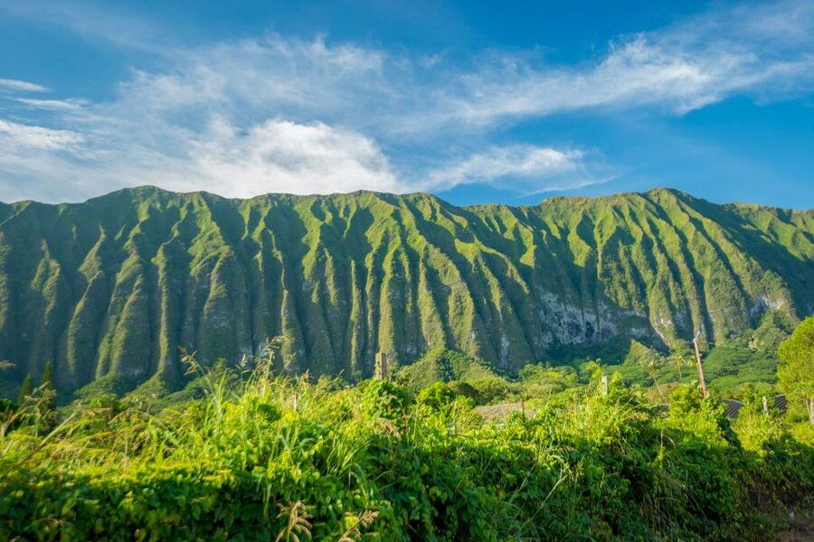 From Waikiki: Best of Oahu Photo Tour with Pickup - Ono Steaks & Shrimp Shack for a local lunch