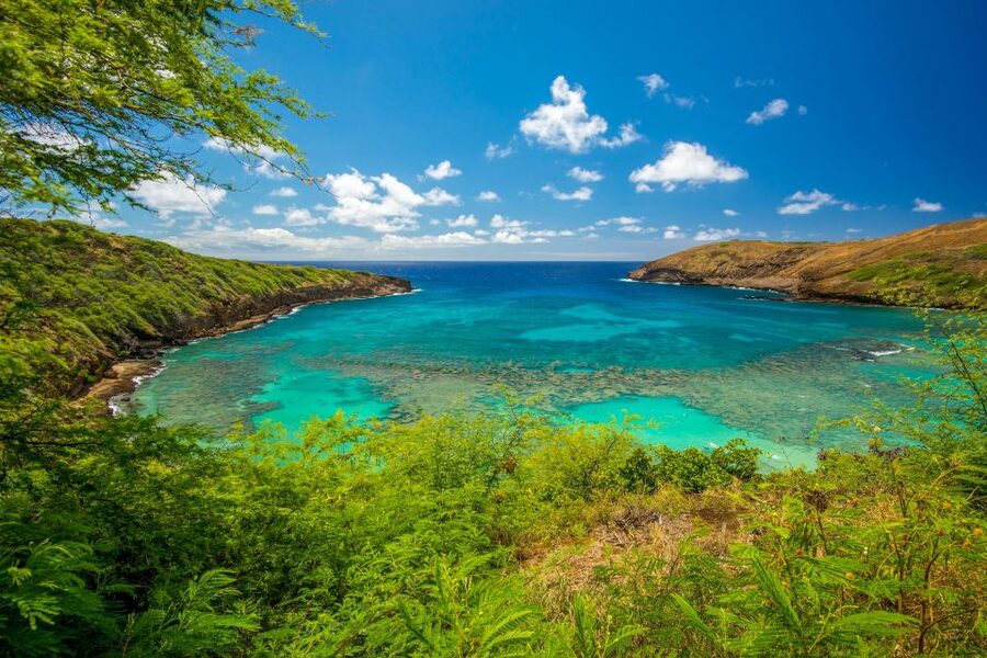 From Waikiki: Best of Oahu Photo Tour with Pickup - Sandy Beach and Halona Beach Cove