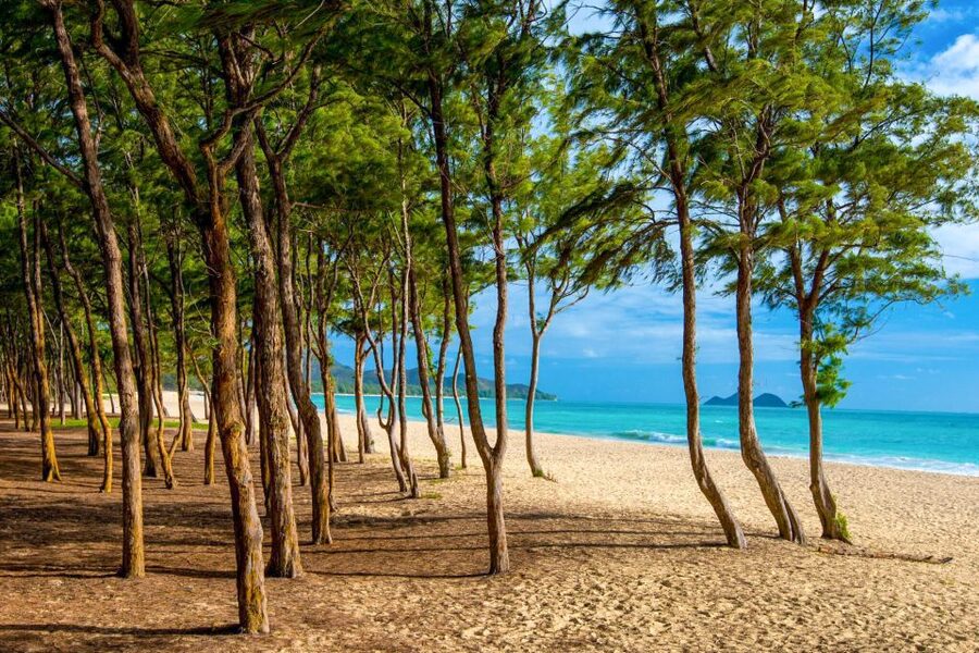 From Waikiki: Best of Oahu Photo Tour with Pickup - What the photography instruction is really like