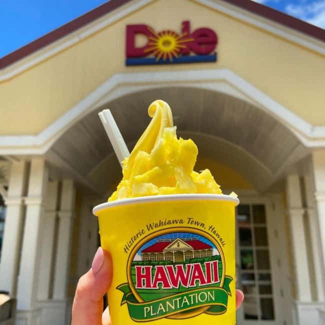 From Waikiki: Oahu Circle Island Tour - Waimanalo, Chinaman’s Hat, and the east side