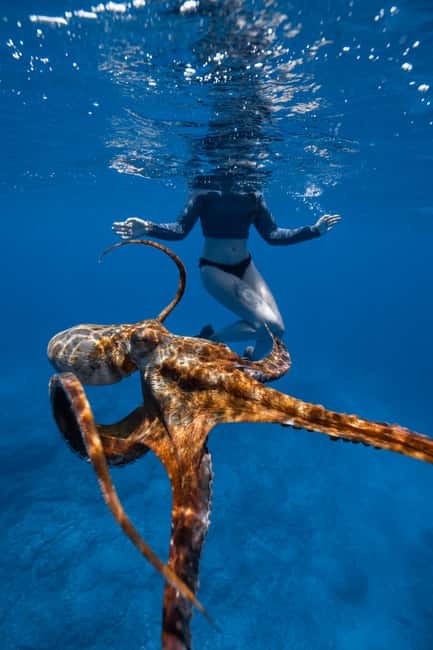 From Waikiki: Turtle Canyon Snorkeling Tour - Guides, safety, and help in the water