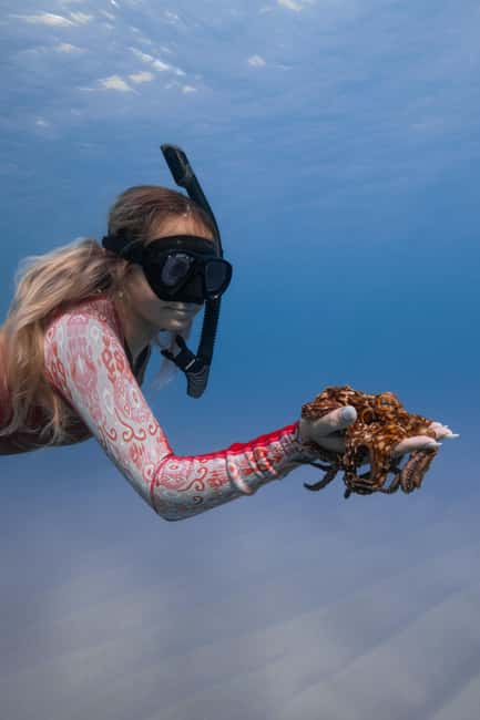 From Waikiki: Turtle Canyon Snorkeling Tour - Timing, meeting point, and practical preparation