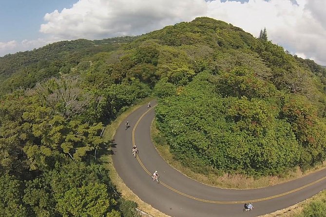 Full Day Oahu Bike, Hike, Sail and Snorkel Combo - The downhill ride through Puʻu Ohia