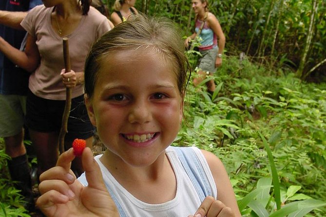 Full Day Oahu Bike, Hike, Sail and Snorkel Combo - Entering Oahu’s 75-acre rainforest