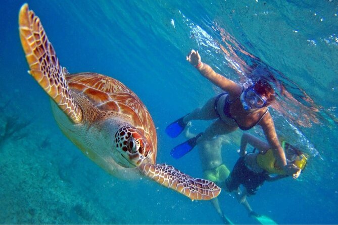 Full Day Oahu Circle Island -Turtle Beach Snorkel at North Shore - One day, nearly the whole island
