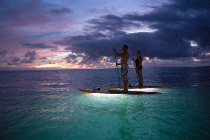 GLOW Stand Up Paddle at Twilight - Key points at a glance