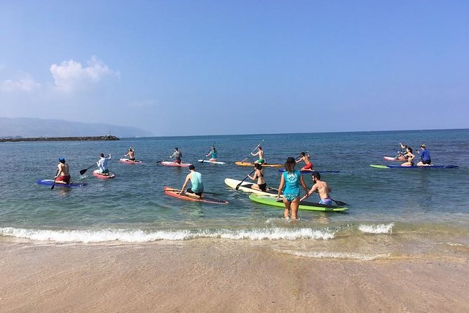 Group Stand Up Paddle Lesson and Tour - Starting at Haleiwa Beach Park at 11 a.m.