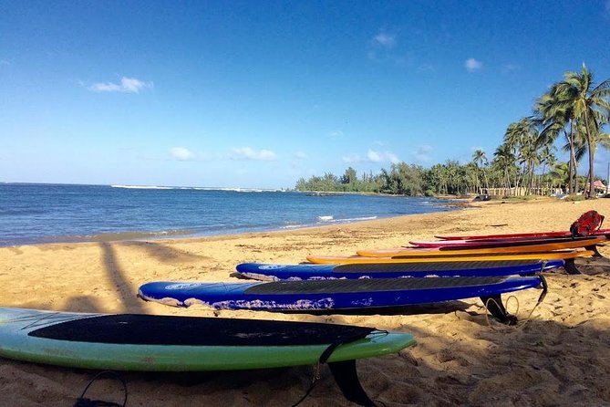 Group Stand Up Paddle Lesson and Tour - Who will get the most from this two-hour outing?