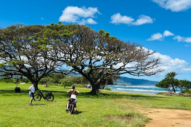 Guided E-Bike Tour in North Shore - Key points to know before you book