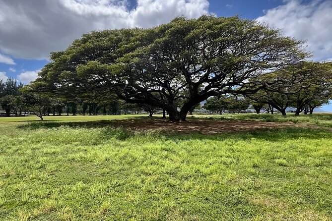 Guided E-Bike Tour in North Shore - Finishing at Kaiaka Bay Beach Park