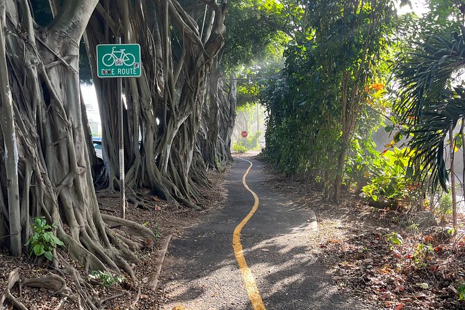 Guided E-Bike Tour in North Shore - What the small group changes