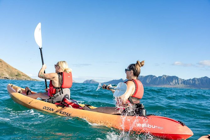 Guided Kayak Tour to Kailua’s Twin Islands - Key points to know before you book