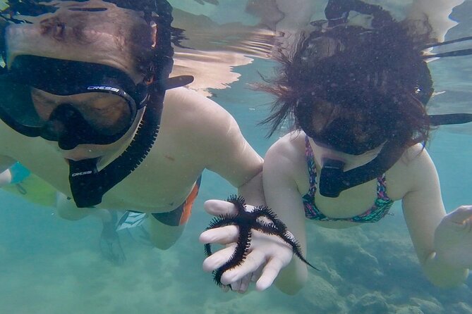 Guided Snorkel Tour for Beginners in Honolulu - Free videos and what they add