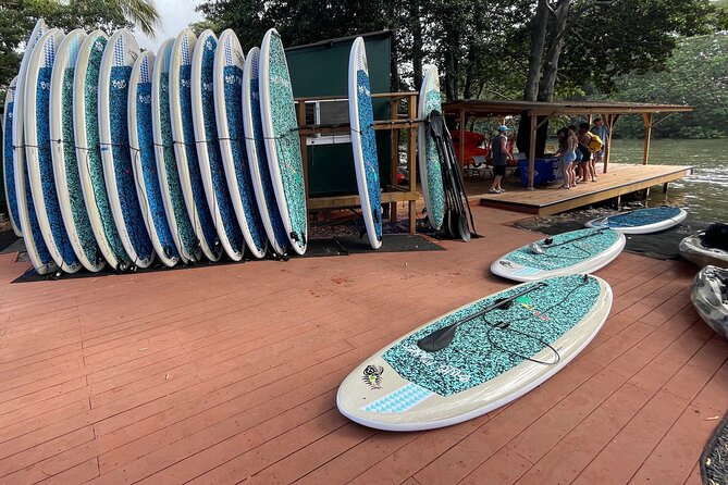 Haleiwa River Paddle Board Rental with Blue Planet Adventure Co. - Who will enjoy this most?
