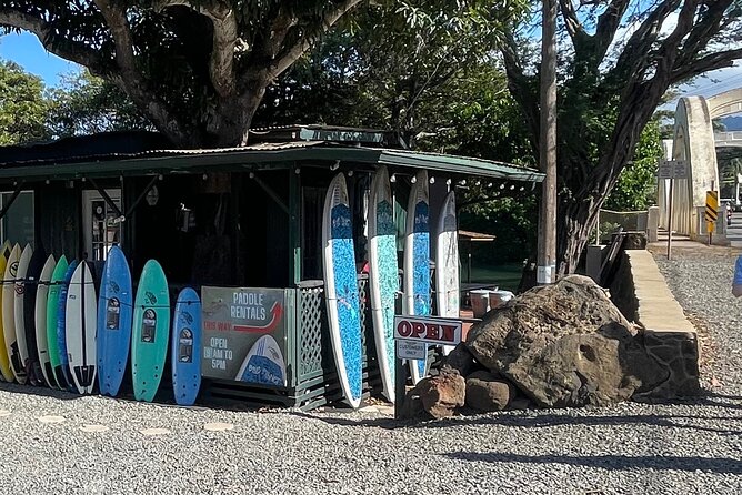 Haleiwa River Paddle Board Rental with Blue Planet Adventure Co. - Timing, weather, and practical details