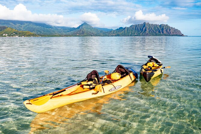 Half-Day Kaneohe Bay Sandbar Self-Guided Kayaking Experience - How the self-guided format changes the day