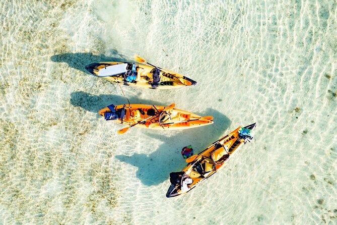 Half-Day Kaneohe Bay Sandbar Self-Guided Kayaking Experience - Starting at He’eia Kea Boat Harbor