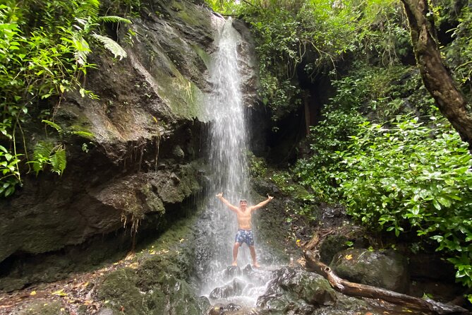 Half-Day Waterfall Tour - Hike, Scenic, Food and Photo - Key points at a glance
