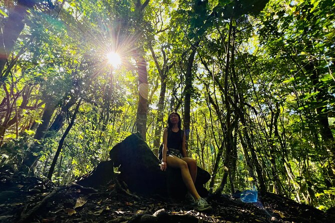 Half-Day Waterfall Tour - Hike, Scenic, Food and Photo - The 8:00 a.m. start from Waikiki