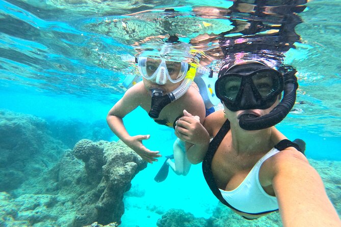 Hanauma Bay Guided Snorkel Tour (with guaranteed entrance time) - What the guides add to the experience