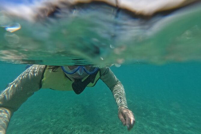 Hanauma Bay Guided Snorkeling Tour with Transportation - Key points at a glance