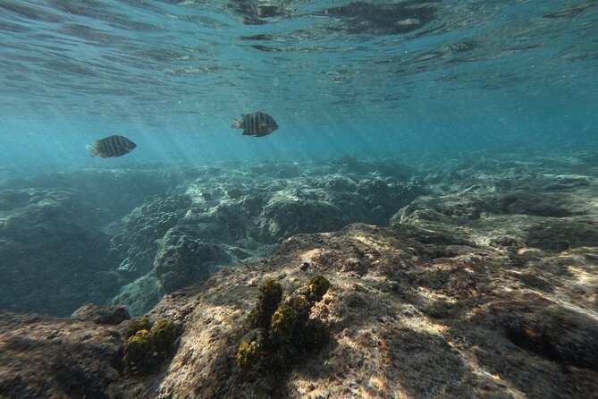 Hanauma Bay Guided Snorkeling Tour with Transportation - Photos turn a short swim into a lasting souvenir