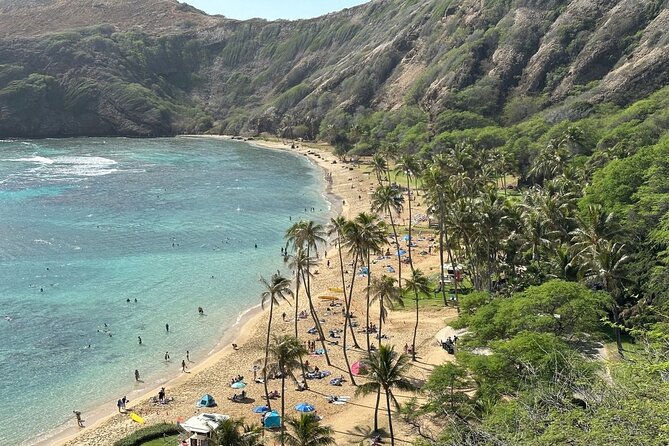 Hanauma Bay Snorkel Lesson - Who will get the most from this experience